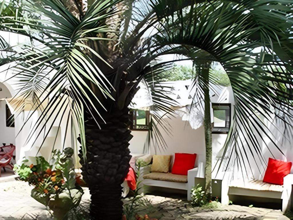 Arabian Art Hotel & Gallery Onjuku Extérieur photo